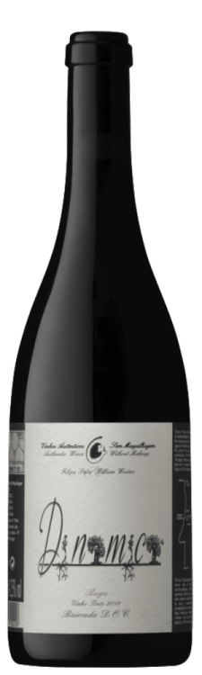 Vins (3)
